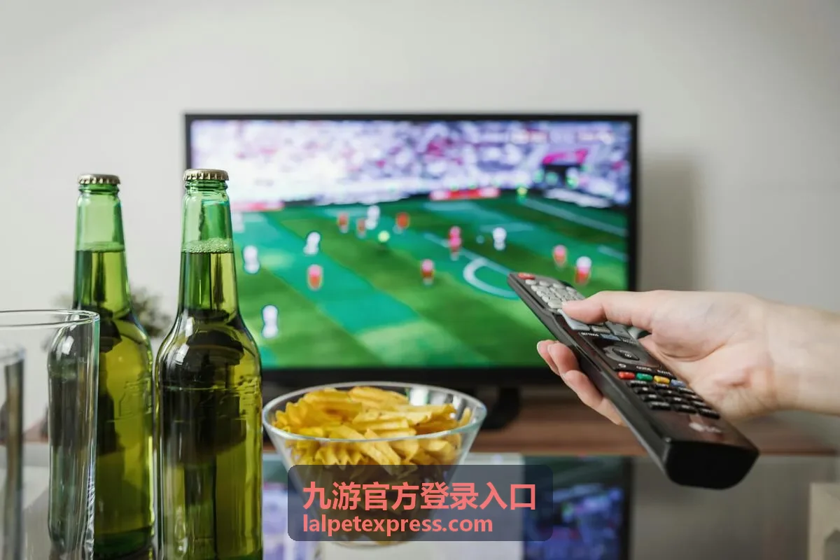 九游官方登录入口功能导览分类页